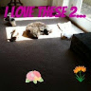 Meet your Posher, Billie